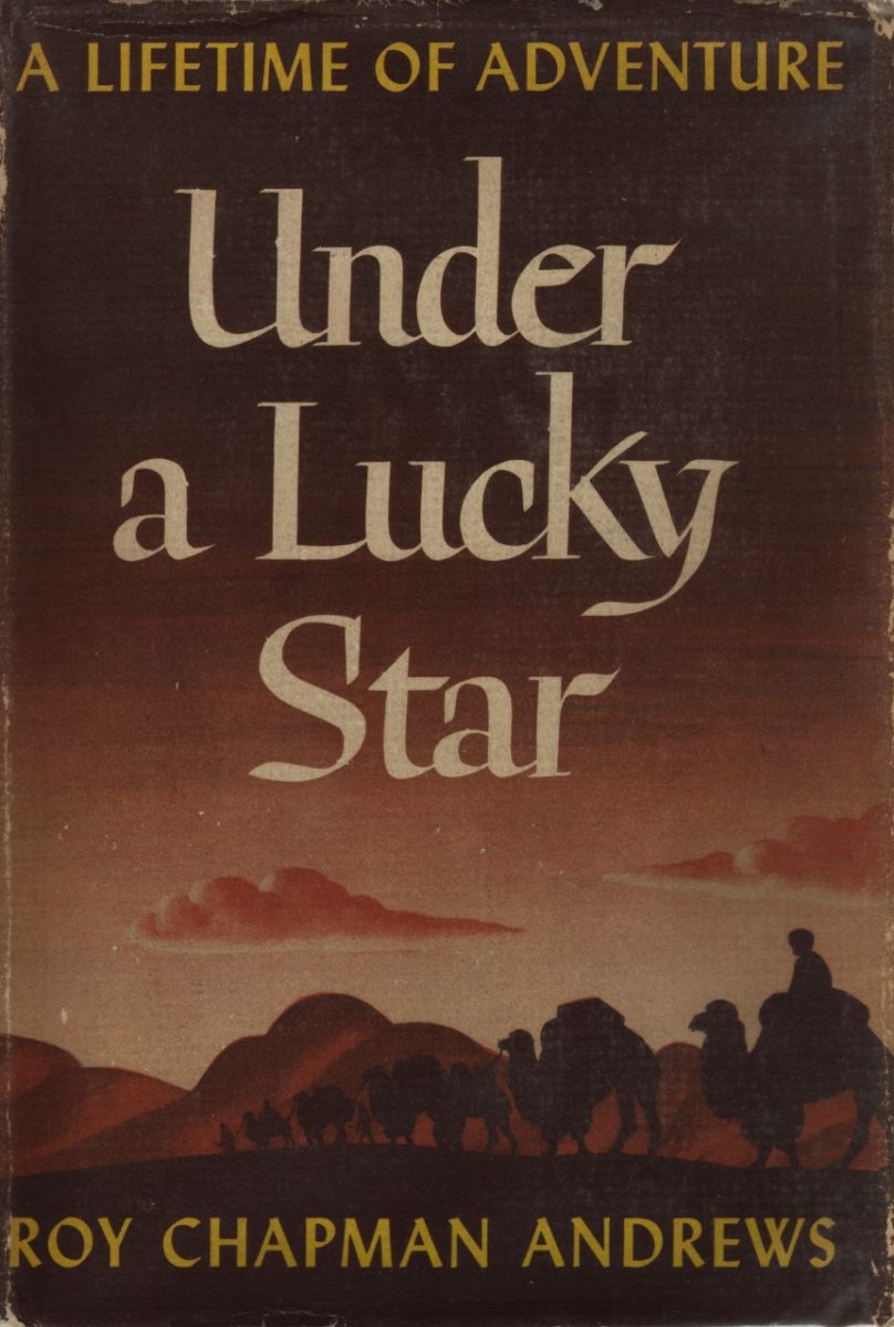 Under a Lucky Star book cover
