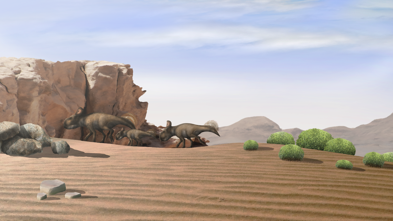 Protoceratops in the desert illustration